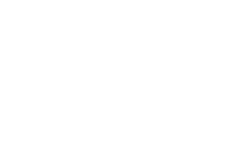 Cases Logo