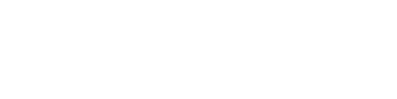 Cases Logo
